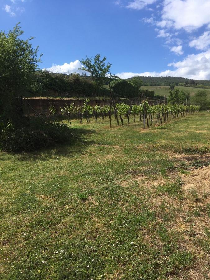 Beck Domaine Du Rempart Villa Dambach Exteriör bild