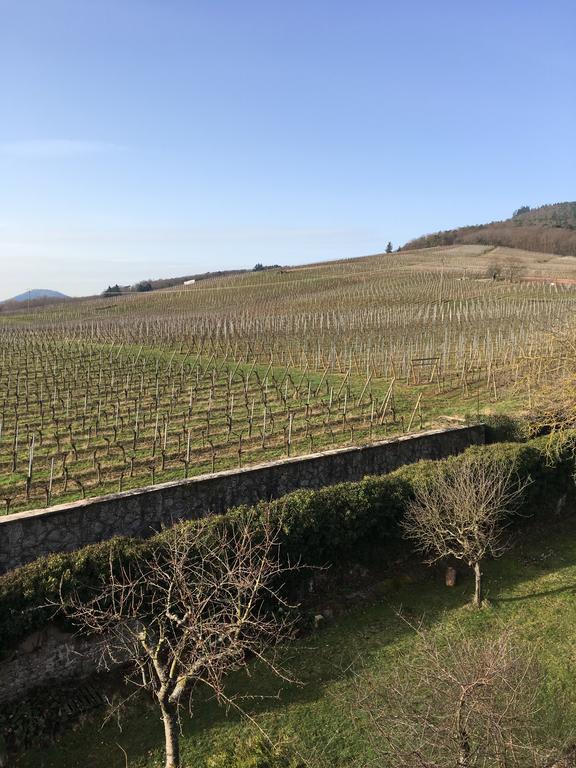Beck Domaine Du Rempart Villa Dambach Exteriör bild