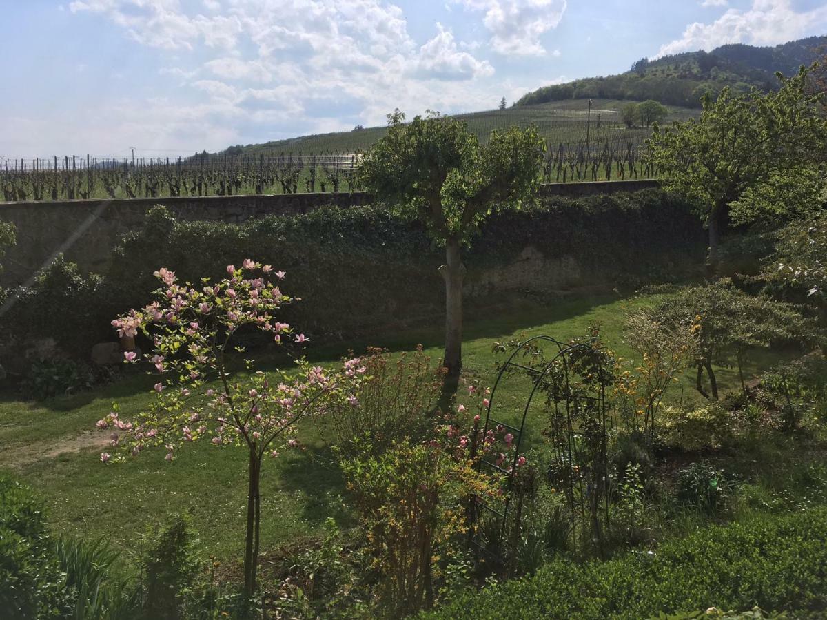 Beck Domaine Du Rempart Villa Dambach Exteriör bild